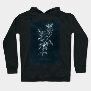 Cyanotype - Camphora Officinalis Hoodie